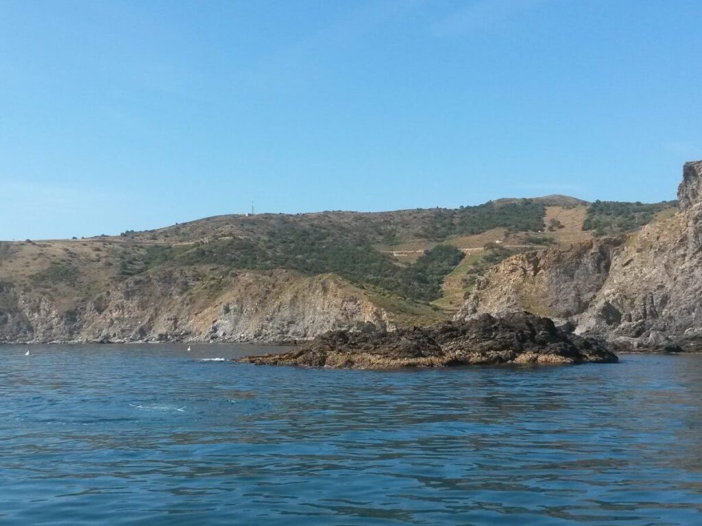Baptême de plongée dans les P.O