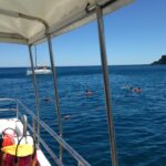 Croisière baignade Paulilles