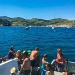 Croisière baignade Paulilles