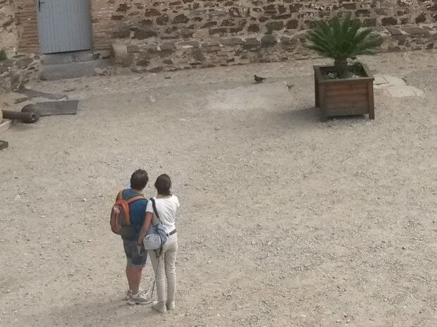 cluedo à Collioure