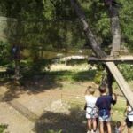 Parcours Aventure Forestier dans les Pyrénées-Orientales