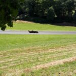 Stage de pilotage F3 Pau