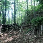 Bivouac Vallespir
