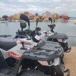 location quad buggy terre catalane