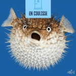 Aquarium Oniria Canet