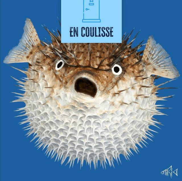 Aquarium Oniria Canet