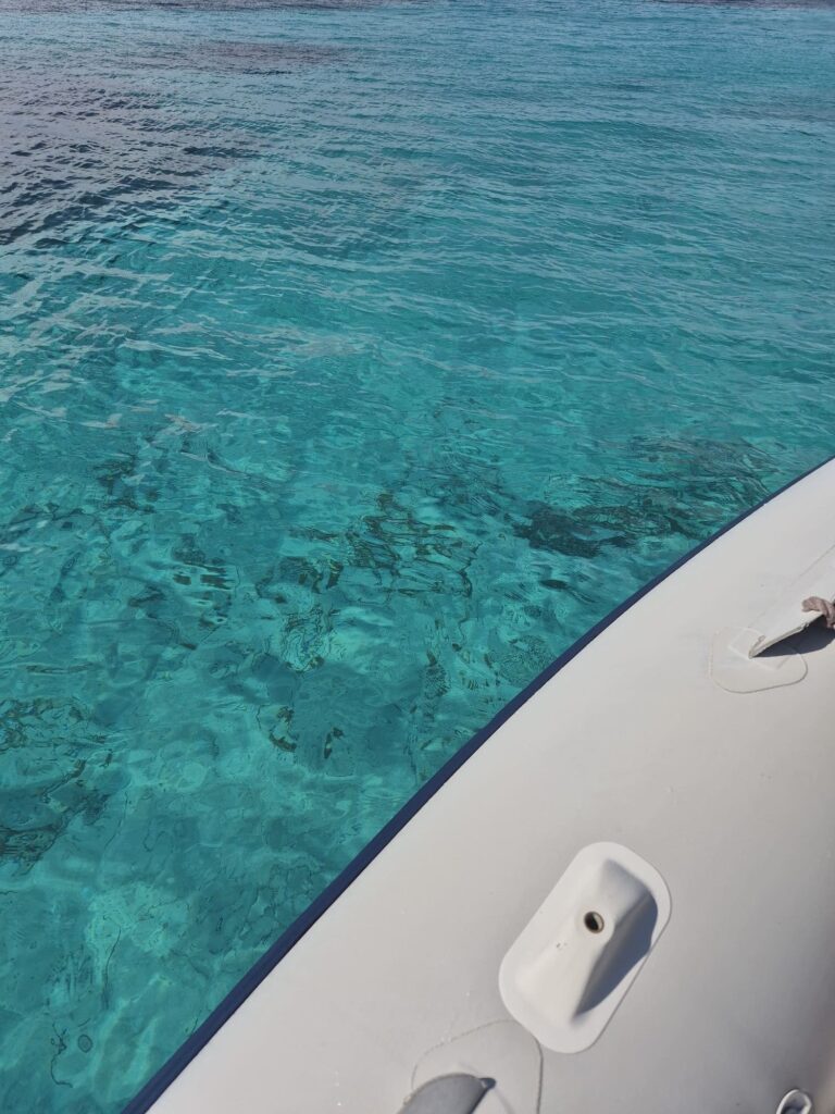 Excursion en mer archipel de Maddalena