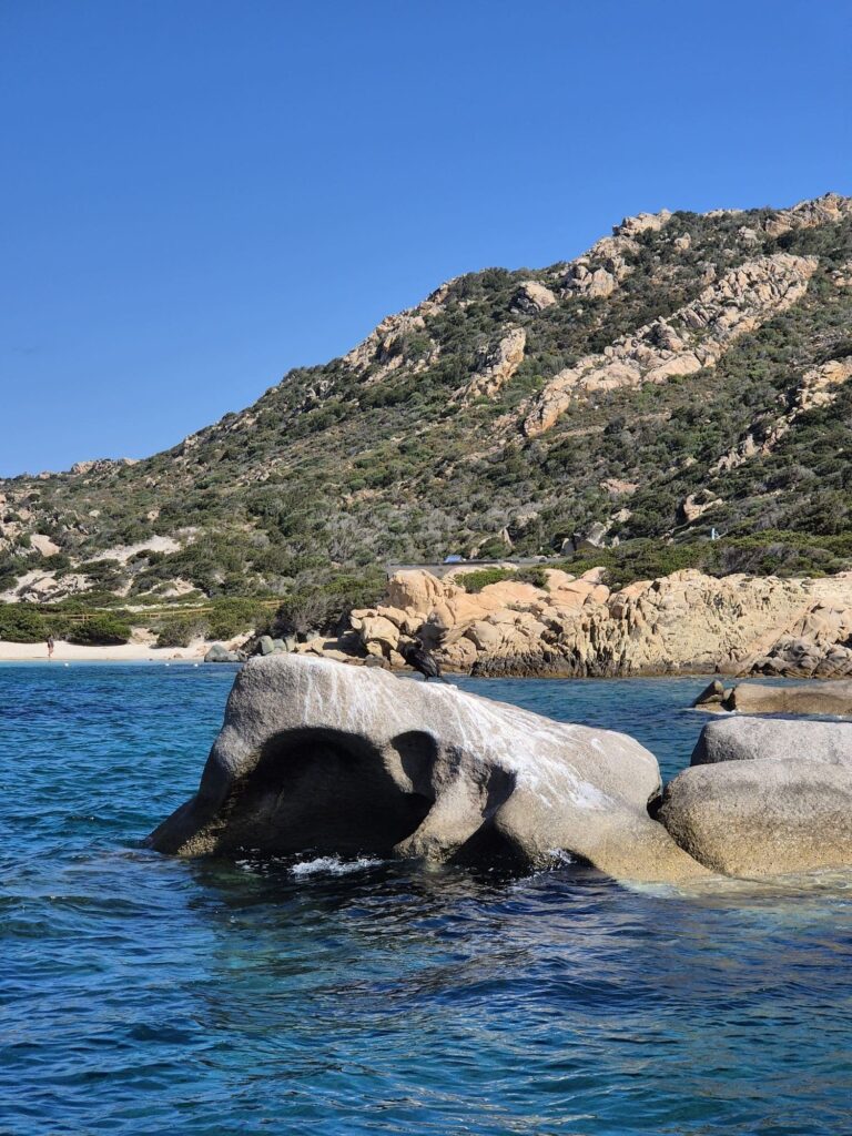 Excursion en mer archipel de Maddalena