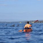 Kayak en Sardaigne