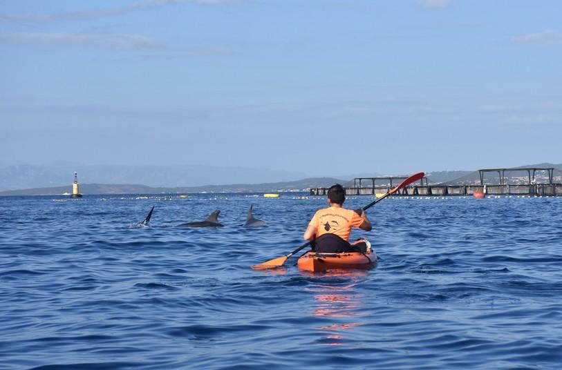 Kayak en Sardaigne