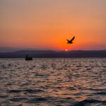 Bateau barbecue en Pays Catalan