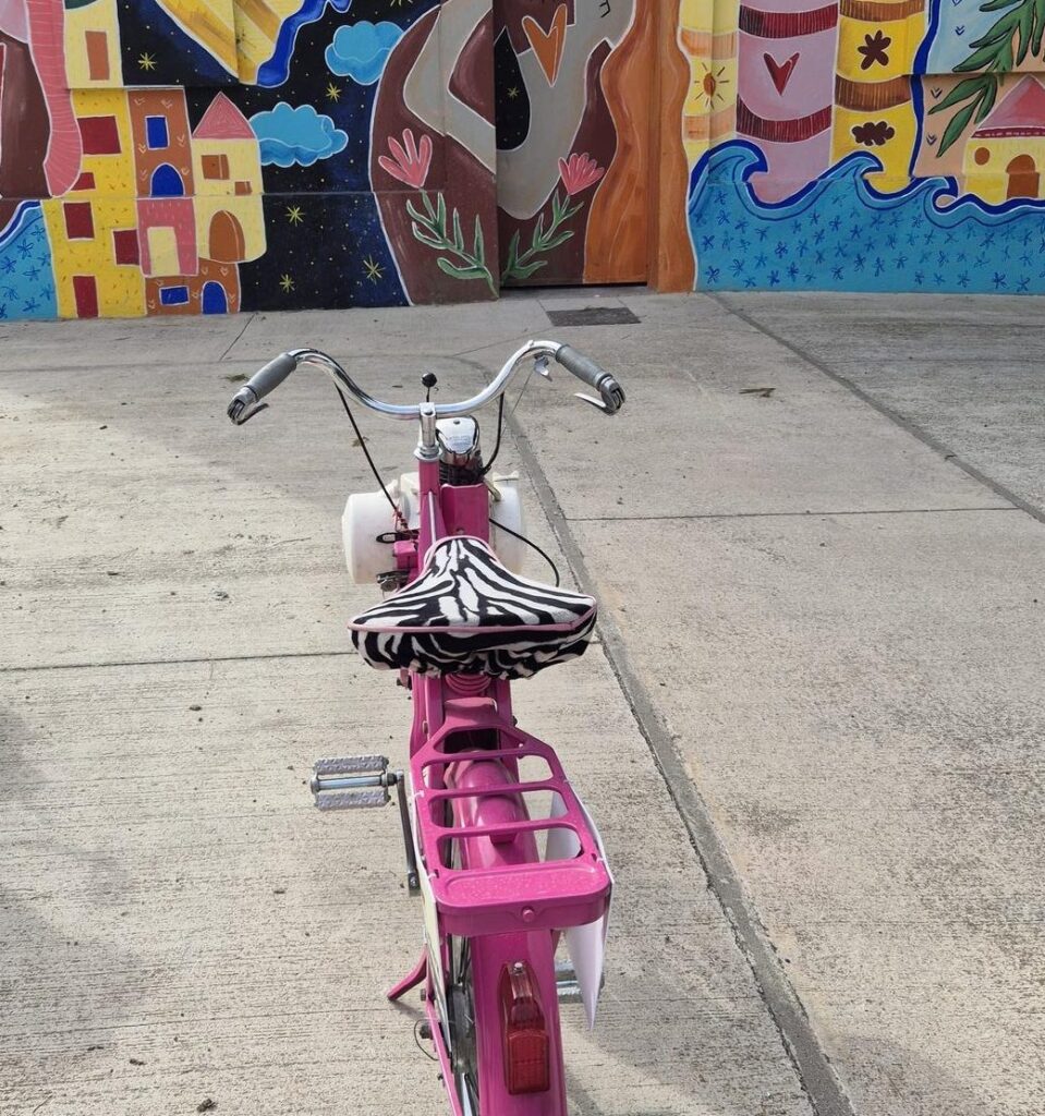 Balade en solex Argelès sur Mer