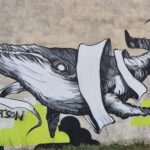 Balade en solex Argelès sur Mer