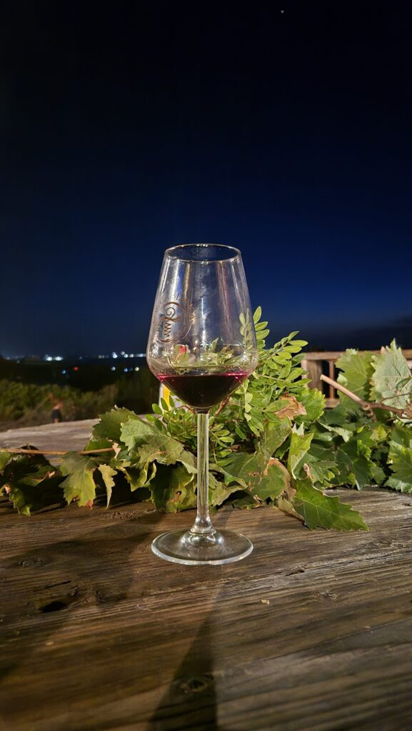 Dégustation de vins sardes