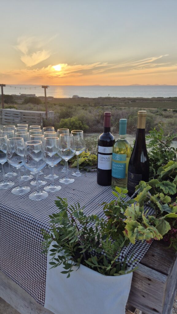 Dégustation vins sardes